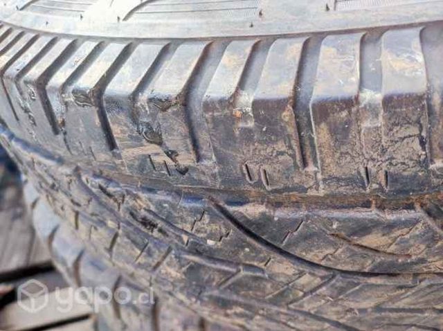 Doublestar Challenger