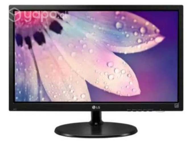 Monitor 19 pulgadas varios modelos (usado)
