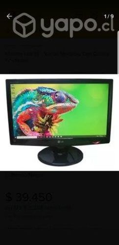 Monitor 19 pulgadas varios modelos (usado)