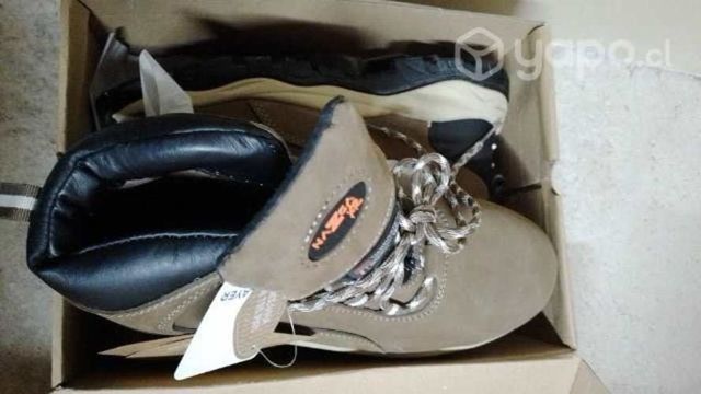 Botin de seguridad n°41