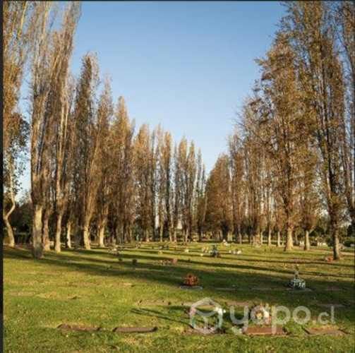 Vendo Sepultura en Parque Nueva Jerusalén Maipú