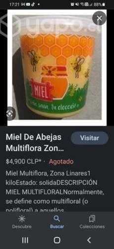 Miel multifloral