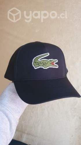 Gorros Lacoste