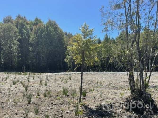 Parcela de 5000 mts2