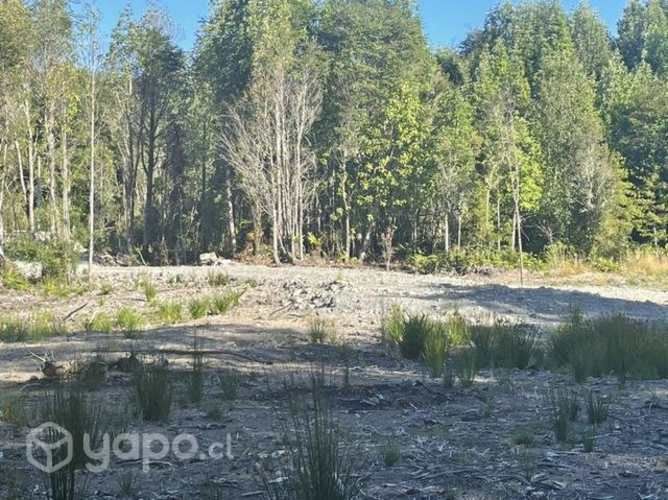 Parcela de 5000 mts2