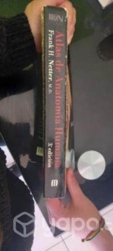 Atlas de anatomía humana 3° edición Netter