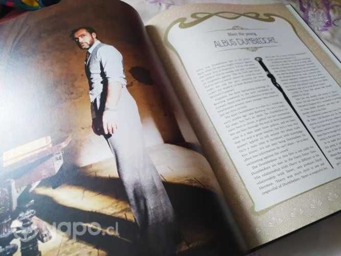 Libro Harry Potter + Pickett (en inglés)