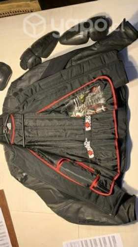 Chaqueta cuero Oxford