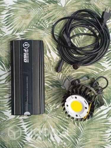 Luces Indoor, Black Cob F160