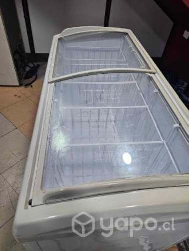 Conservadoras y congeladoras