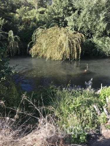 Parcela Los Angeles bosque nativo y rio de fondo