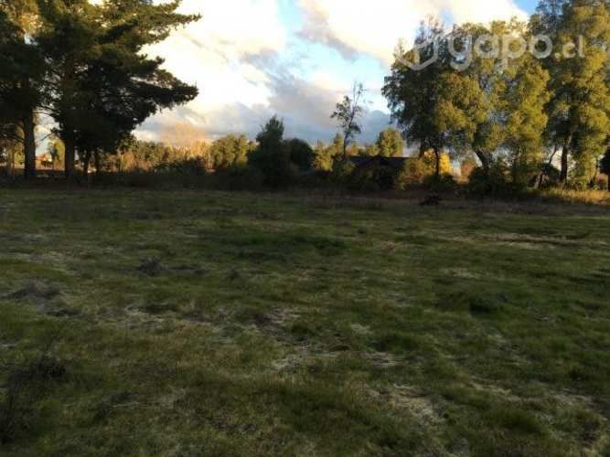 Parcela Los Angeles bosque nativo y rio de fondo