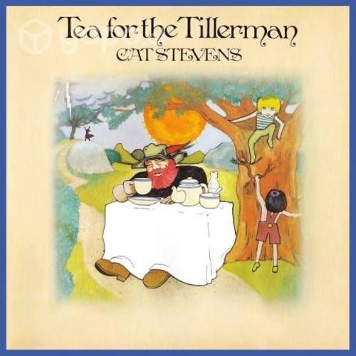 Colección discos vinilos Cat Stevens Beethoven etc