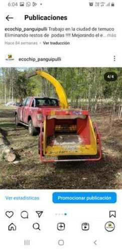 Servicio disponible chipeado y mantenimiento