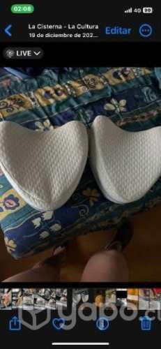 2 cogines ortopedicos