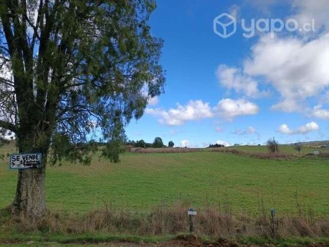 Hermoso terreno 1,7 hectáreas