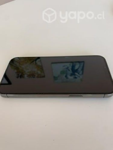 Iphone 13 ProMax como nuevo
