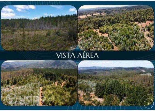 Hermosas parcelas de 10.000 m2