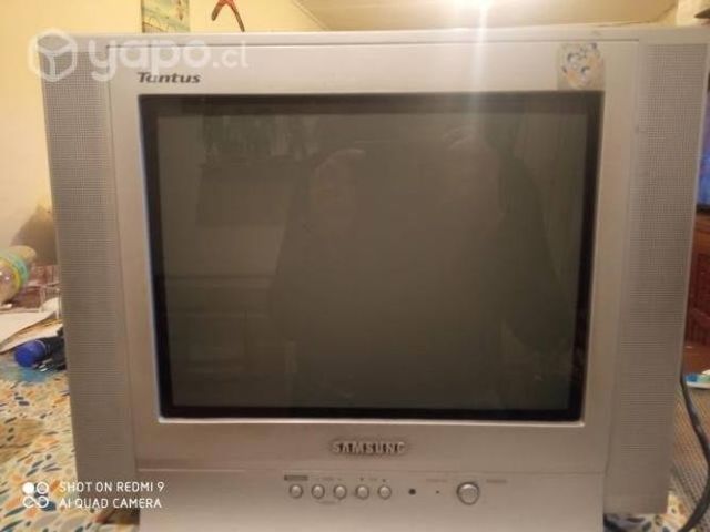 Televisor antiguo pequeño con control