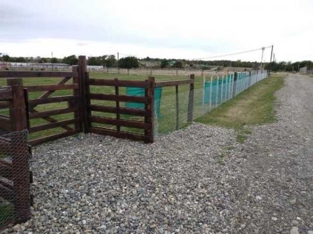 Cierres perimetrales, corte de árboles