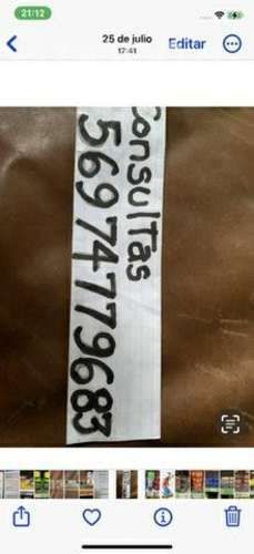 Asiento de seguridad para el automóvil