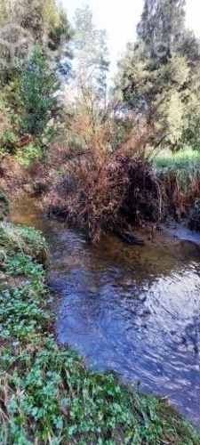 Hermosa parcela con casa en Chiloé