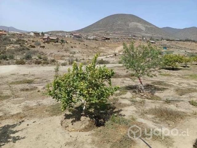 Hermosa parcela de agrado