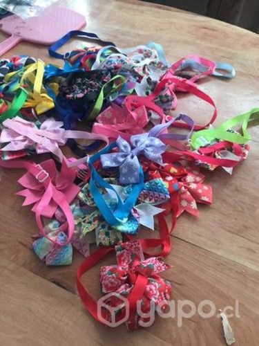 Corbatas para mascotas