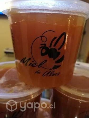 Miel de ulmo