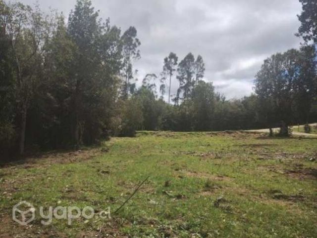 Parcela con río y estero