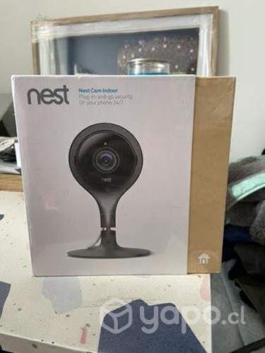 Nest cámara interior