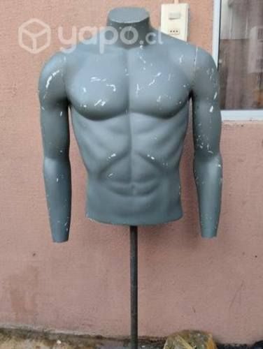 Maniqui torso