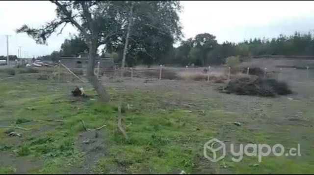 Terreno 5000 mtr cuadrados en cabrero