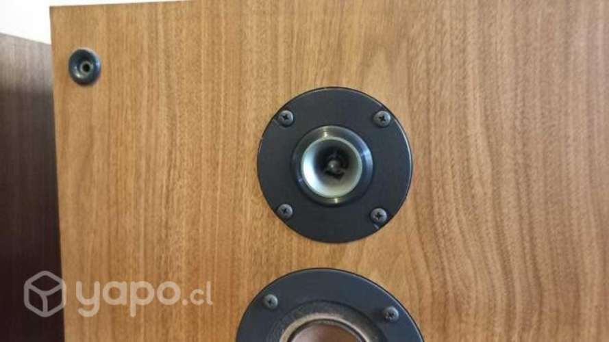 Parlantes Sony SS-2250 Carbocon