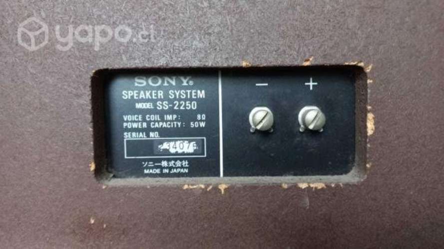 Parlantes Sony SS-2250 Carbocon