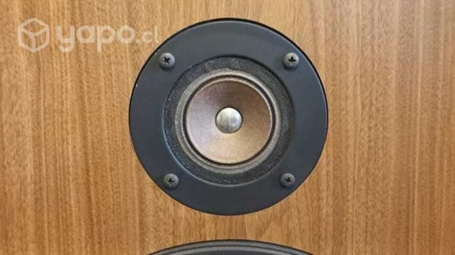 Parlantes Sony SS-2250 Carbocon