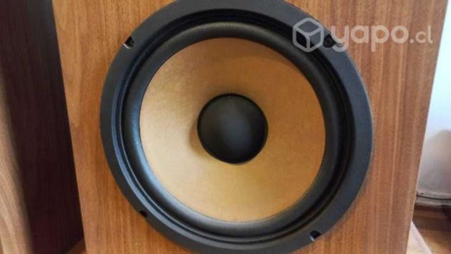 Parlantes Sony SS-2250 Carbocon