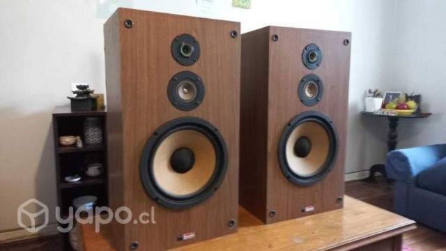 Parlantes Sony SS-2250 Carbocon