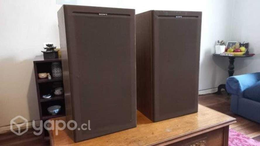 Parlantes Sony SS-2250 Carbocon