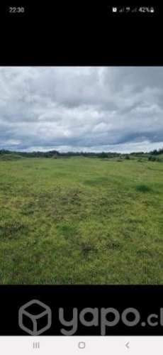 Parcela en Puerto Montt