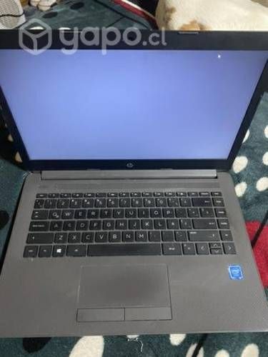 Notebook HP Intel cole
