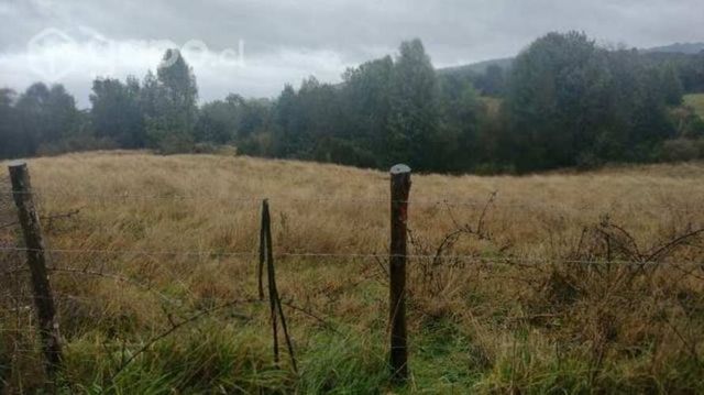 Terreno de media hectárea