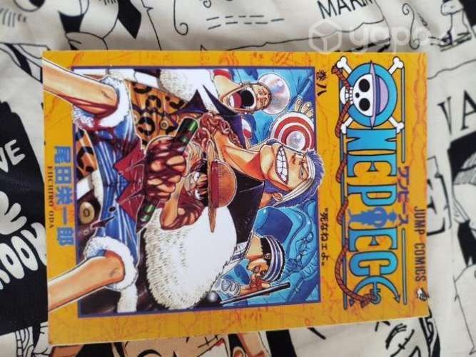 One piece Manga