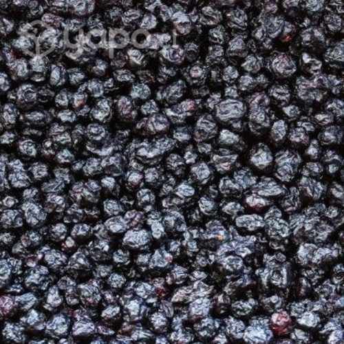 Arándano Deshidratado