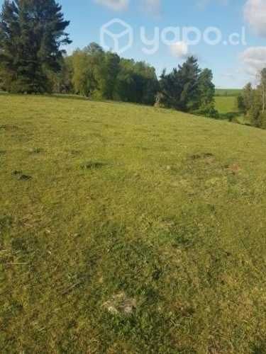 Hermosa parcela soñada