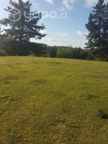 Hermosa parcela soñada