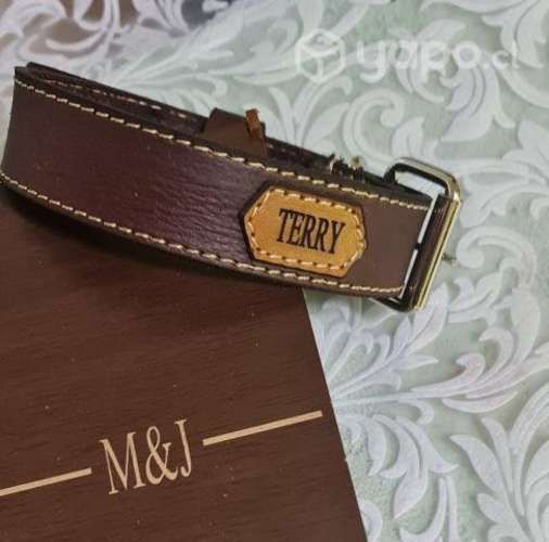 Collar de perro o gato