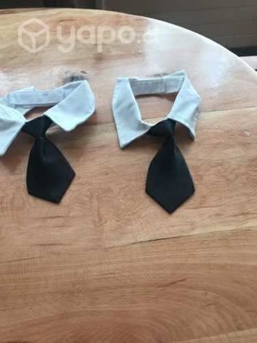 Corbata para perrito talla pequeña