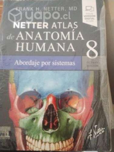 Enciclopedia Netter Anatomía Humana 8 Edición