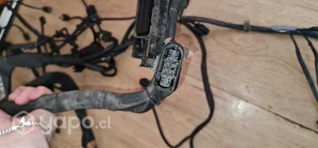 Ramal inyectores mercedes benz motor om651 sprinte